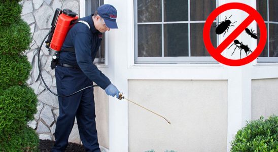 Manisa Kene İlaçlama böcek ilaçlama ve haşere kontrolü — ilaclama-tr.com